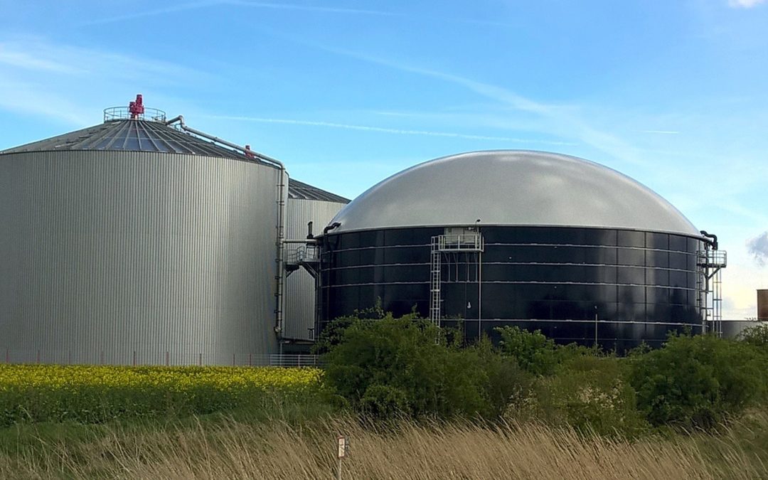 The renewable energy that can contribute most to the circular economy: biogas